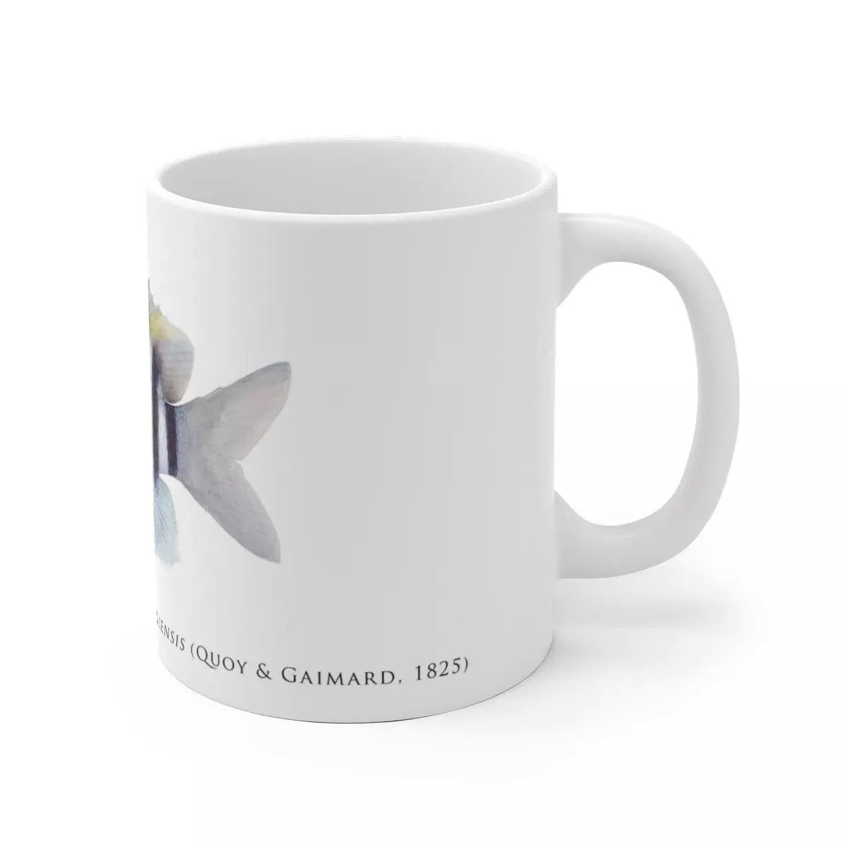 Indo-Pacific Sergeant Mug