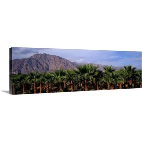 "(Date) Palm Grove (near Borrego Springs) California" Canvas Wall Art